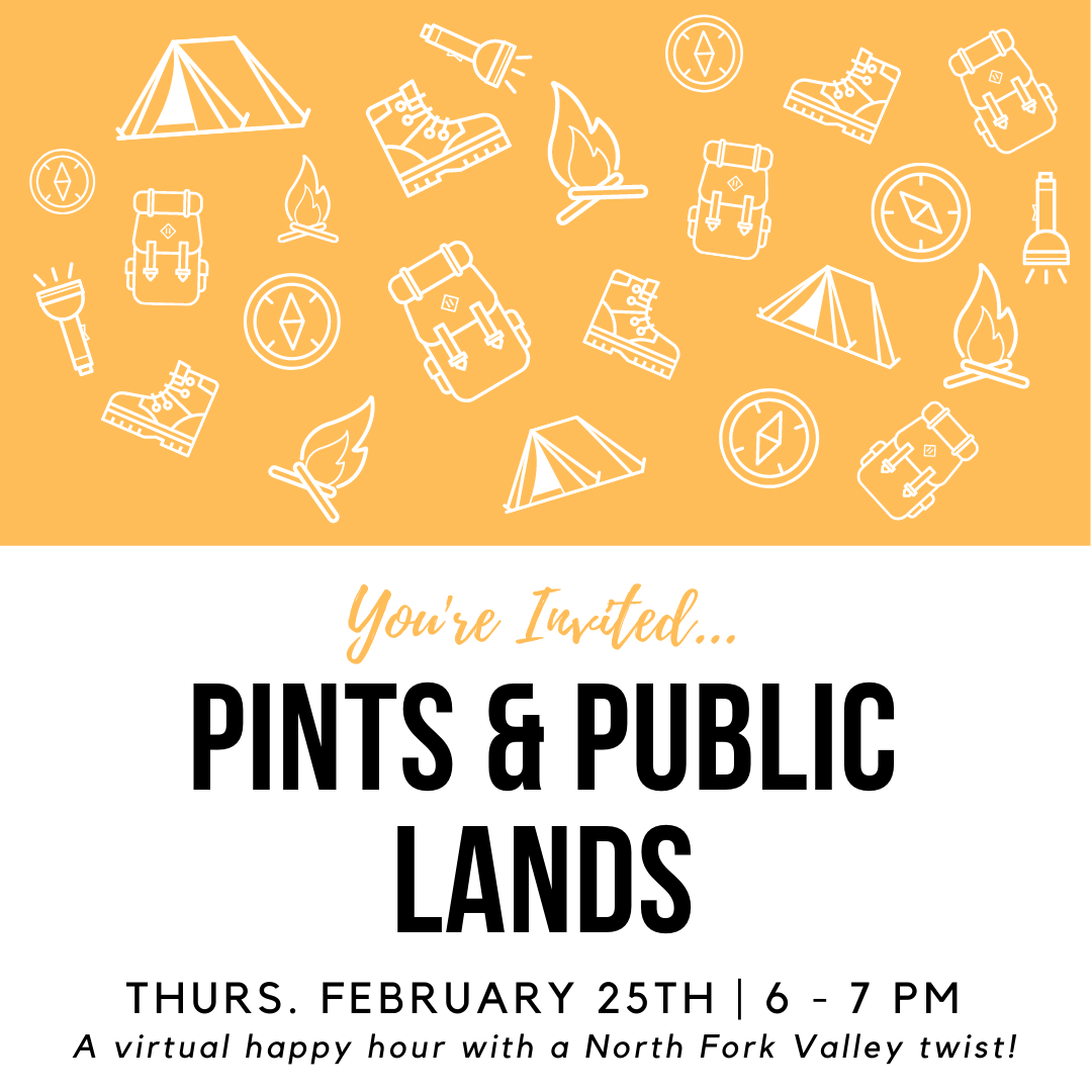 February 2021 pints and public lands ad