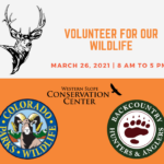 Volunteer for our wildlife ad