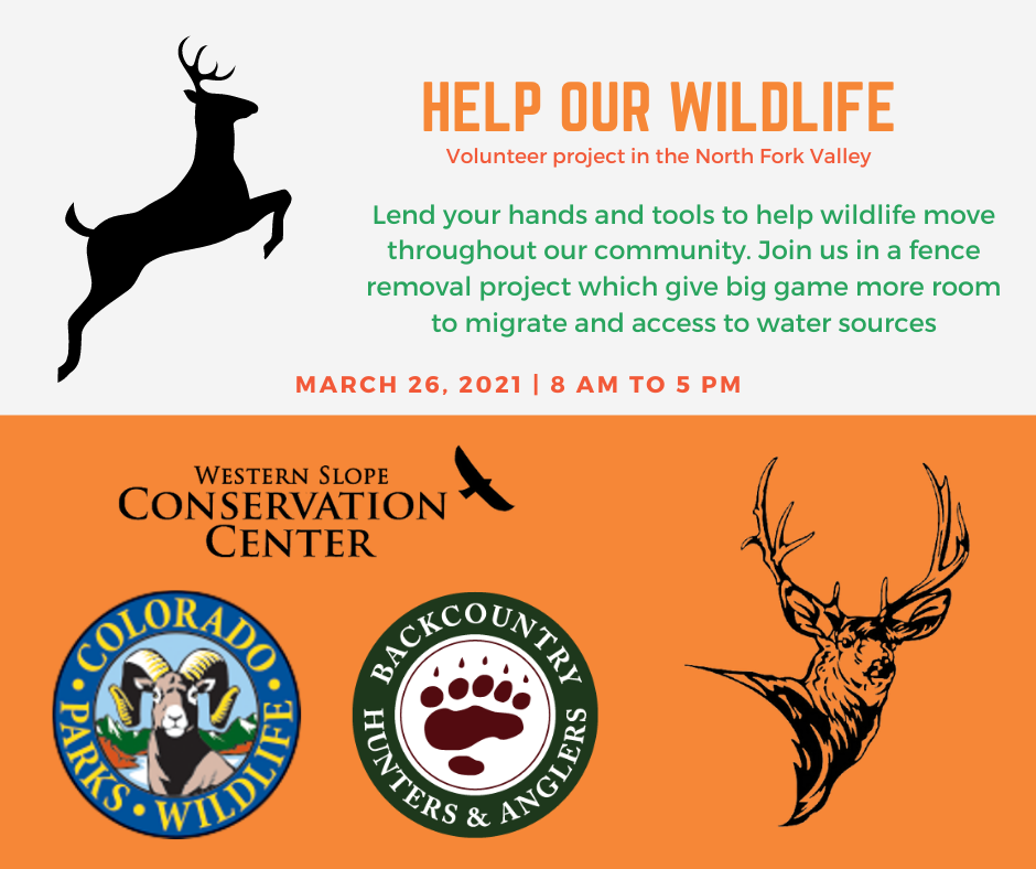 Help our wildlife ad