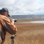 birder looking through scope.