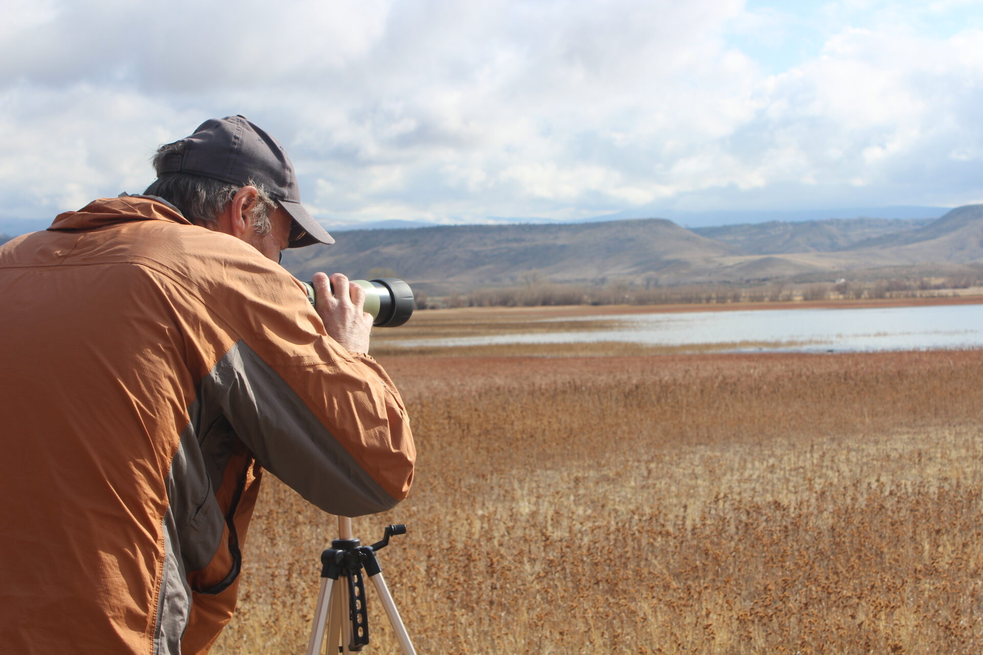 birder looking through scope.