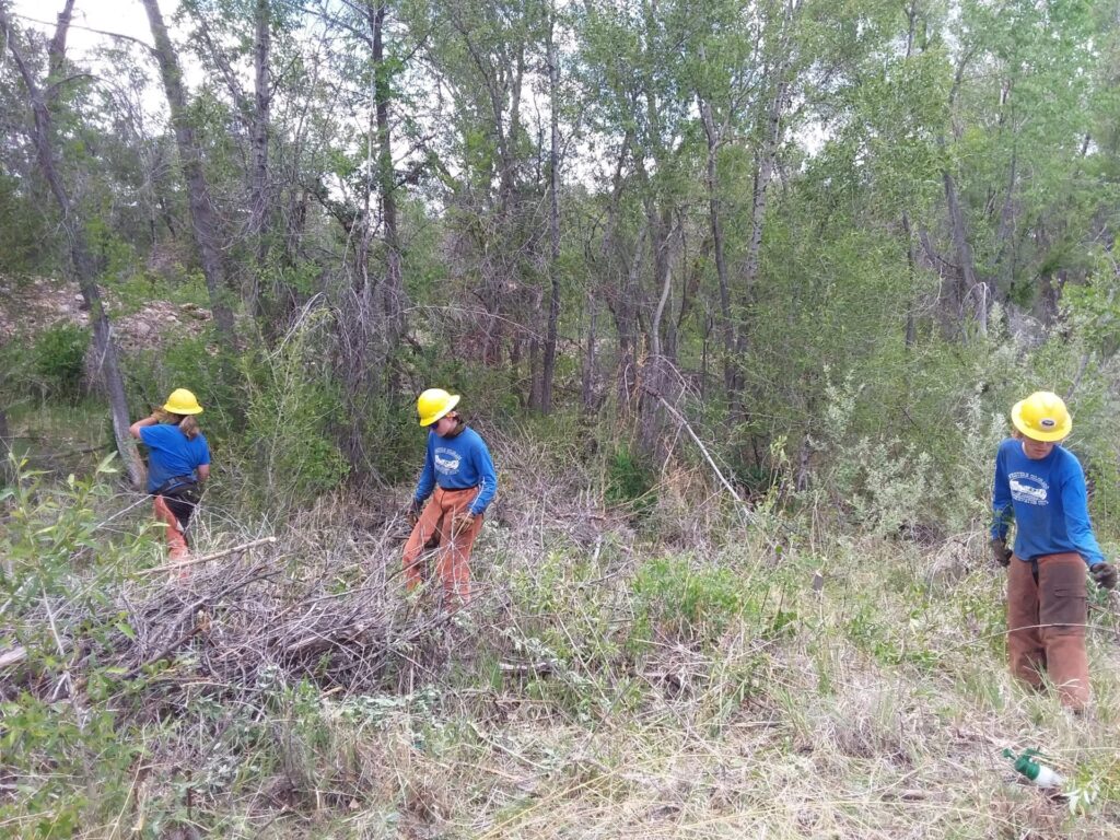 three WCCC crew members clear brush from a trail