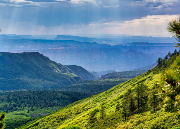 Landscape view of forested slope, mountain in distance and blue sky with clouds